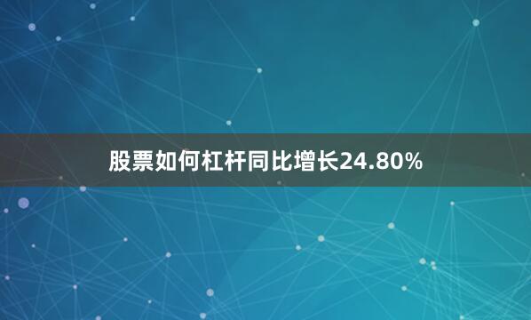 股票如何杠杆同比增长24.80%