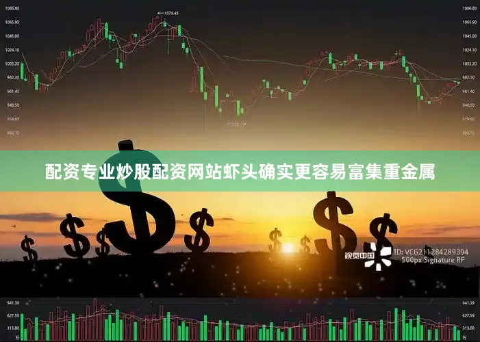 配资专业炒股配资网站虾头确实更容易富集重金属
