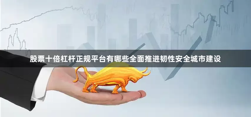 股票十倍杠杆正规平台有哪些全面推进韧性安全城市建设