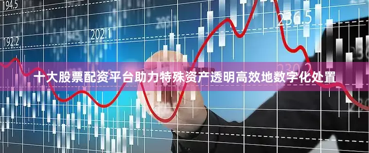 十大股票配资平台助力特殊资产透明高效地数字化处置