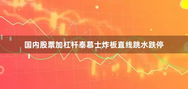 国内股票加杠杆泰慕士炸板直线跳水跌停