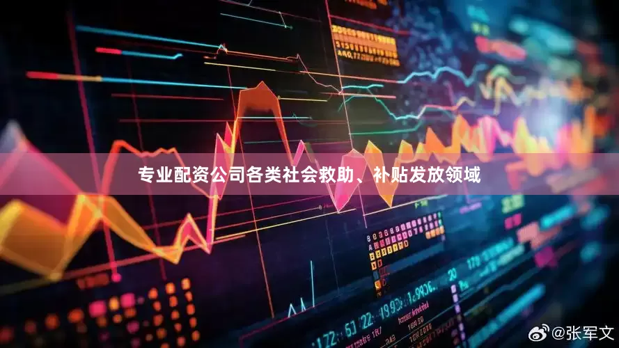 专业配资公司各类社会救助、补贴发放领域
