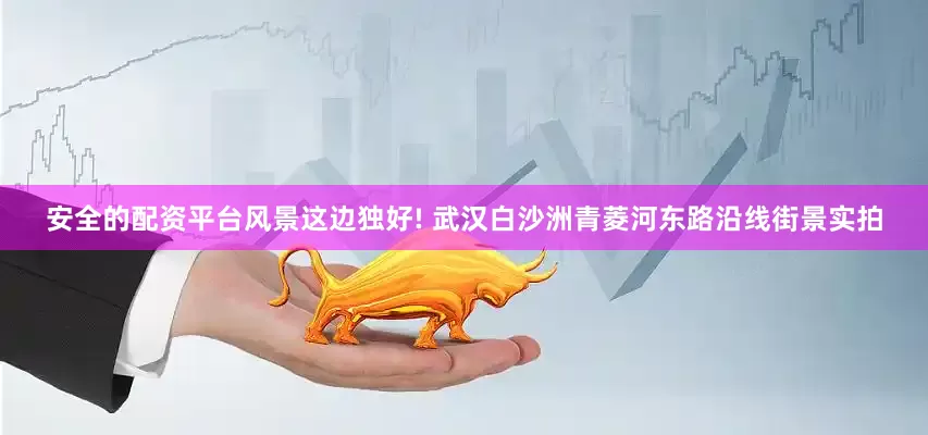 安全的配资平台风景这边独好! 武汉白沙洲青菱河东路沿线街景实拍