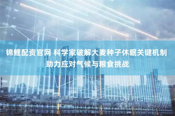 锦鲤配资官网 科学家破解大麦种子休眠关键机制 助力应对气候与粮食挑战
