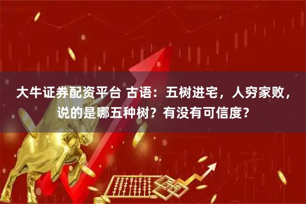 大牛证券配资平台 古语：五树进宅，人穷家败，说的是哪五种树？有没有可信度？